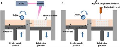 Powder-Based 3D Printed Porous Structure and Its Application as Bone Scaffold